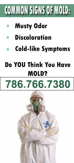 Doral Mold Remediation Contractor